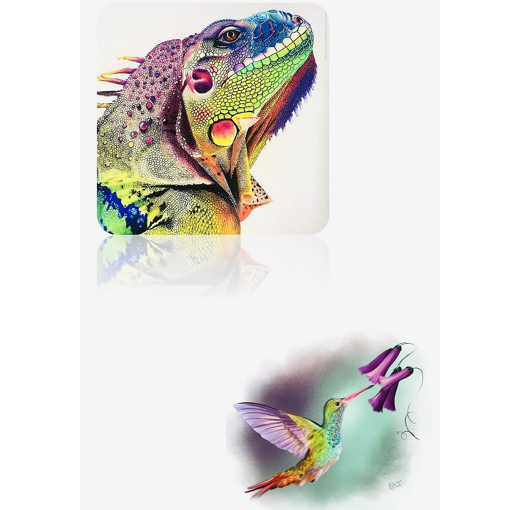 SET DE 12 COLORES CORTO 8.5CM NEW ELITE 