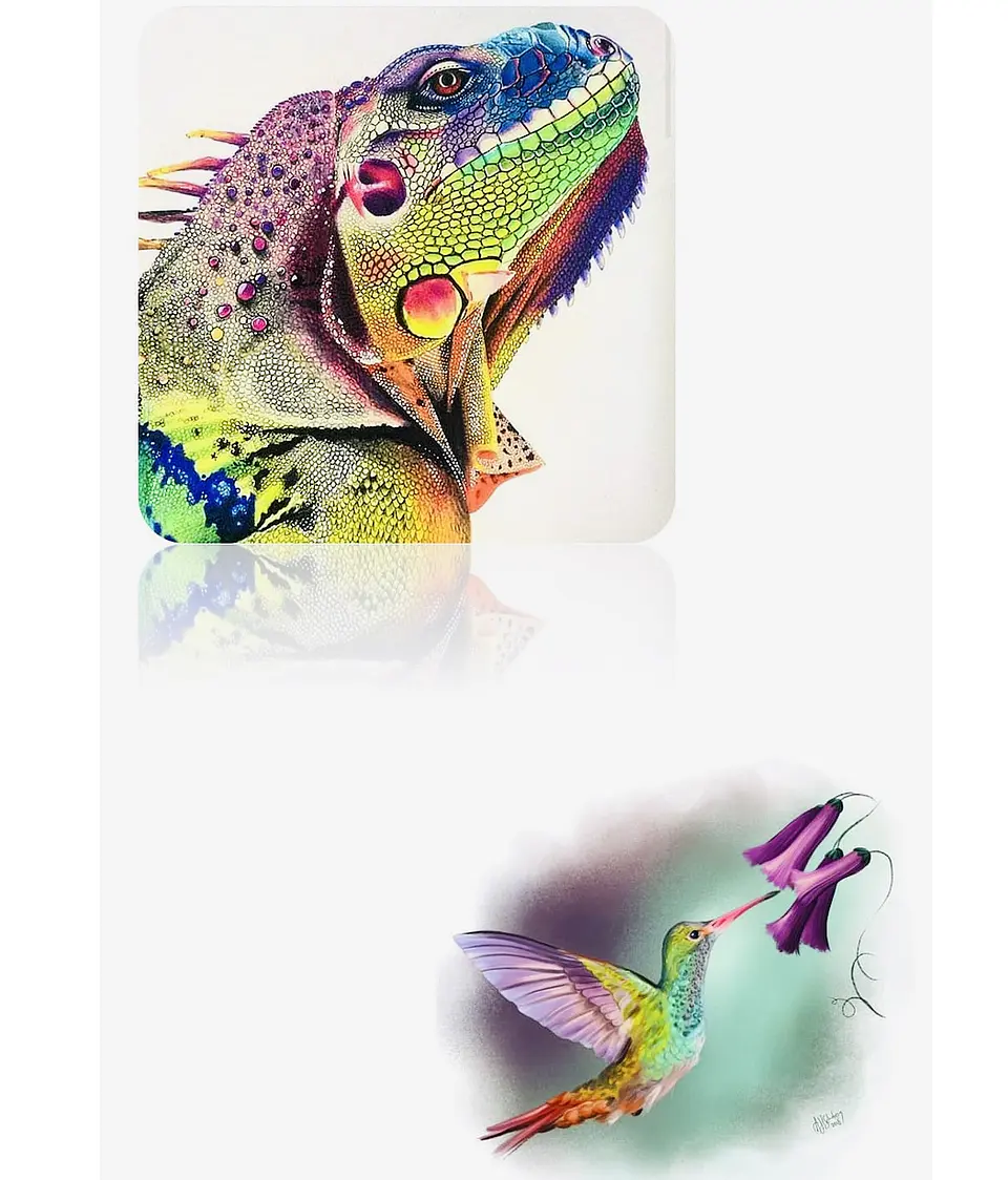 SET DE 12 COLORES CORTO 8.5CM NEW ELITE  8