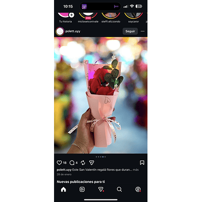 RAMO ROSAS CON LUCES EN CAJITA 