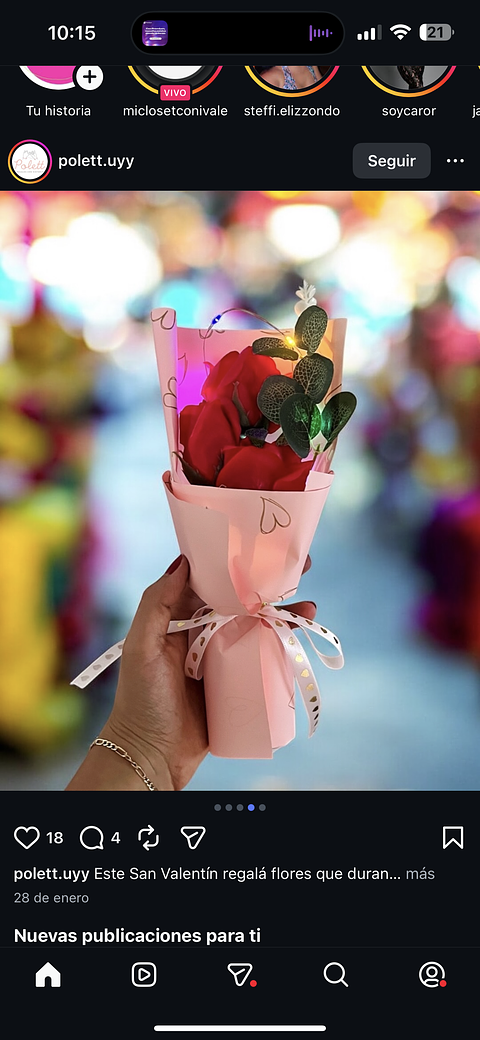 RAMO ROSAS CON LUCES EN CAJITA 