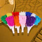 ABANICO DE PLUMAS  - Miniatura 10