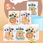 PAQUETE DE 9 PAÑUELO CAPYBARA CON DISEÑO - POR MAYOR - Miniatura 3