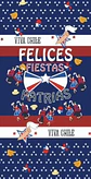 FUNDA DE PUERTA FIESTAS PATRIAS- POR MAYOR - Miniatura 8