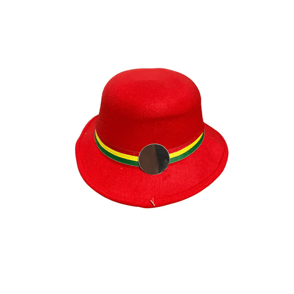 SOMBRERO NORTINO VARIEDAD DE COLORES - POR MAYOR 2