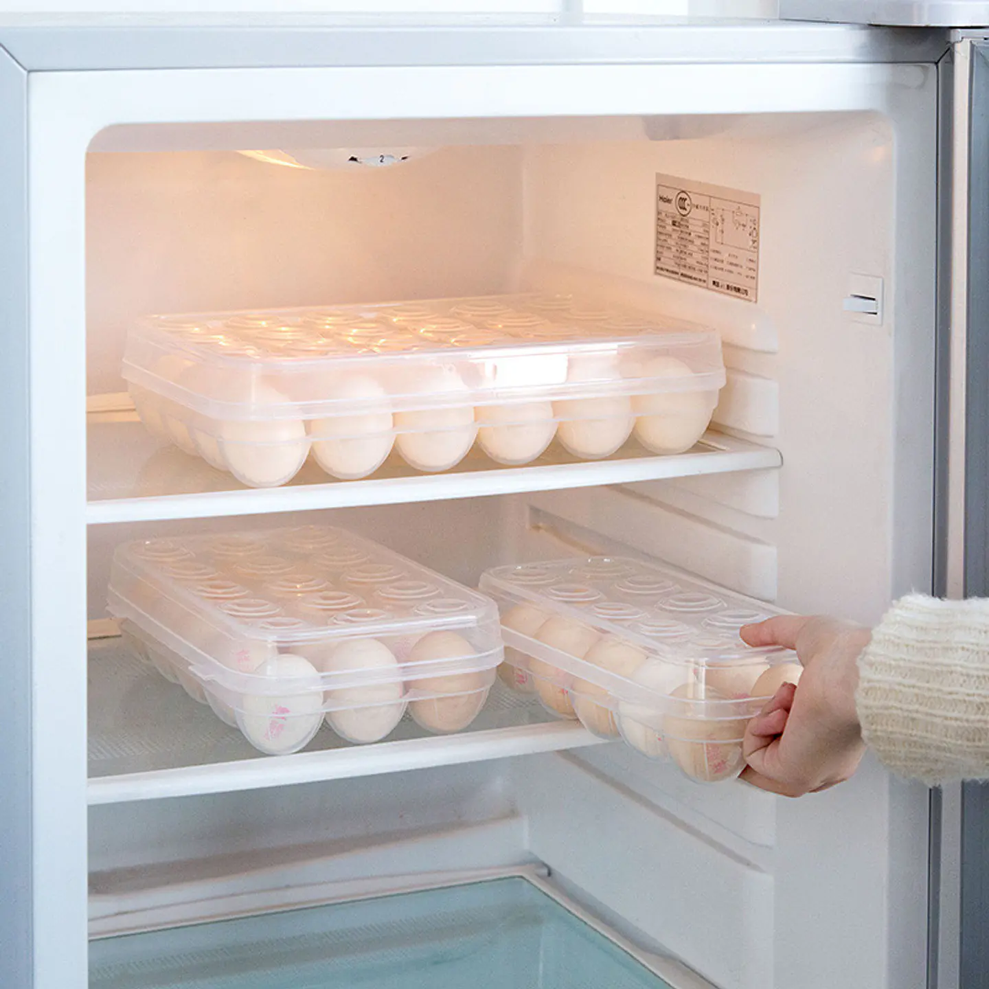 ORGANIZADOR TRANSPARENTE CON TAPA PARA 15 HUEVOS- POR MAYOR 3