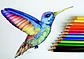 SET DE 12 COLORES CORTO 8.5CM NEW ELITE - POR MAYOR - Miniatura 3