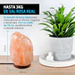 LAMPARA DE SAL DEL HIMALAYA LUZ REGULABLE PIEDRA DE 2.5 A 3 KILOS 20x13CM- POR MAYOR - Miniatura 9