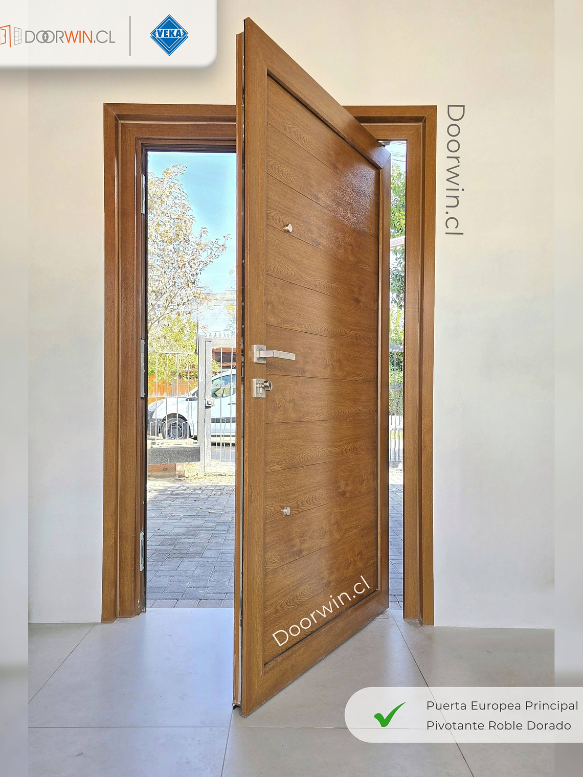 Puerta Pivotante Alemana 1