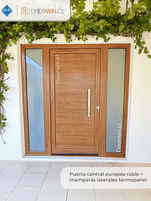 Puerta central + mampara fija laterales termopanel
