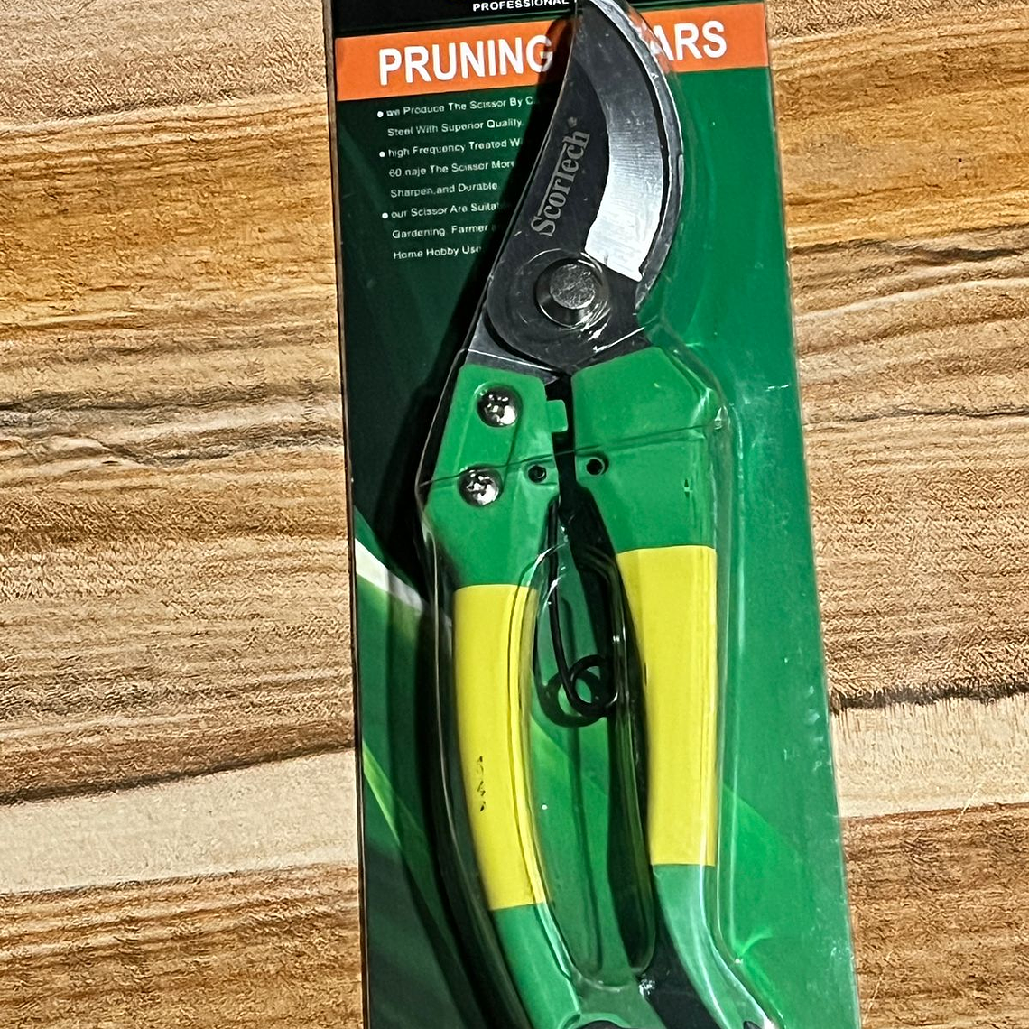 tijera pico de loro 1