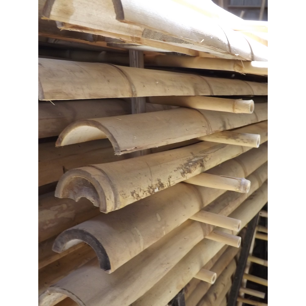 Media Caña de Guadua