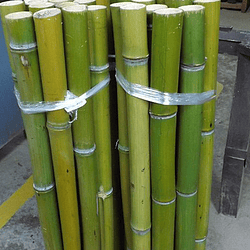 Bambú Moso Natural - Dimensionado