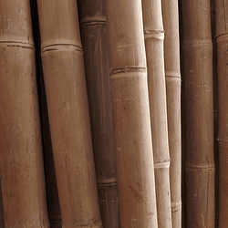 Bambú Asper Natural - Dimensionado