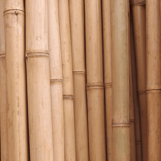 Bambú Aurea Natural - Dimensionado - Image 1