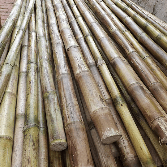 Bambú Colihue Seleccionado y pulido, 2,0 a 3,0 cm diámetro - Image 1