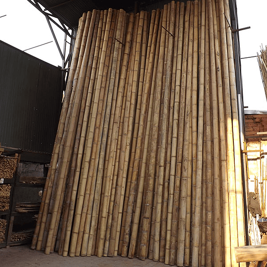 Bambú Guadua Natural - Diámetro 8 a 10 cm - Image 1