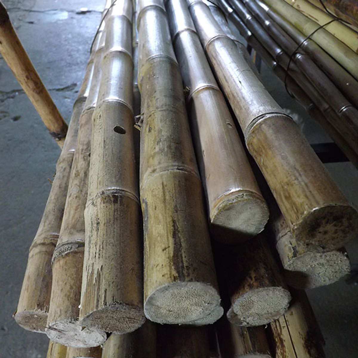 Bambú Colihue, varas seleccionada diámetro hasta los 4cms