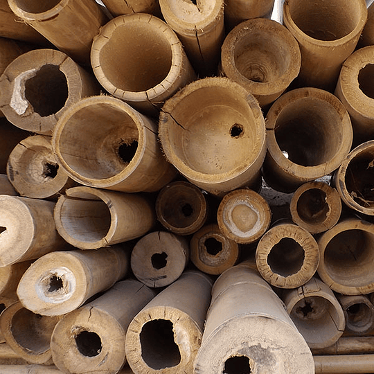 Bambú Guadua Trabajada para decoración, diámetro 8 a 10 cm.  - Image 11