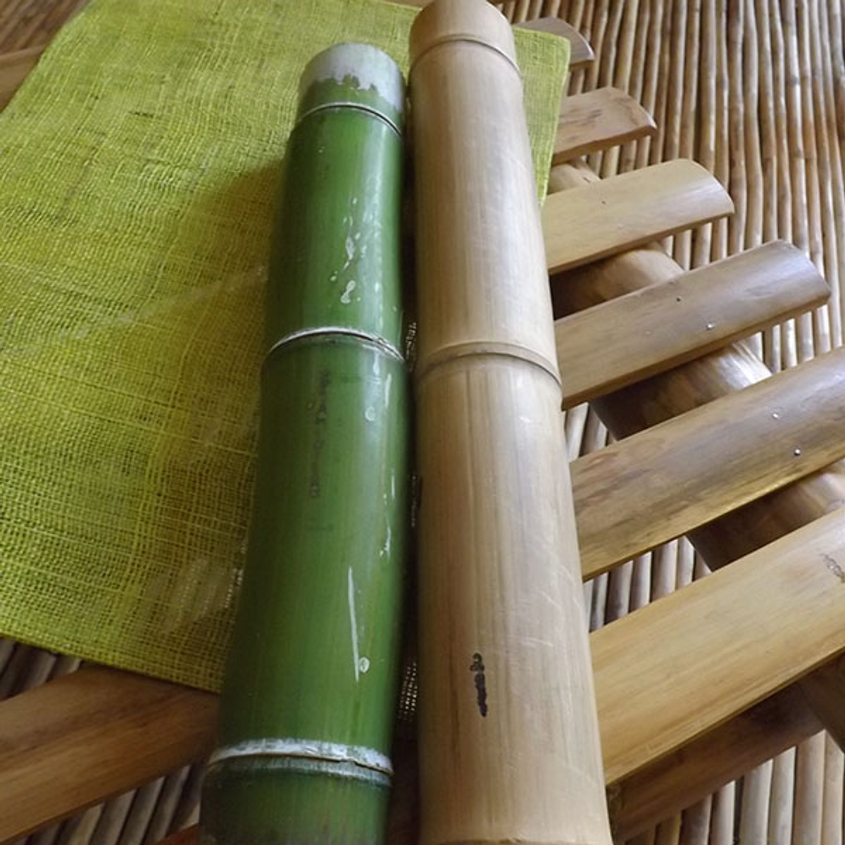 Bambú Moso | Dosel Bambú