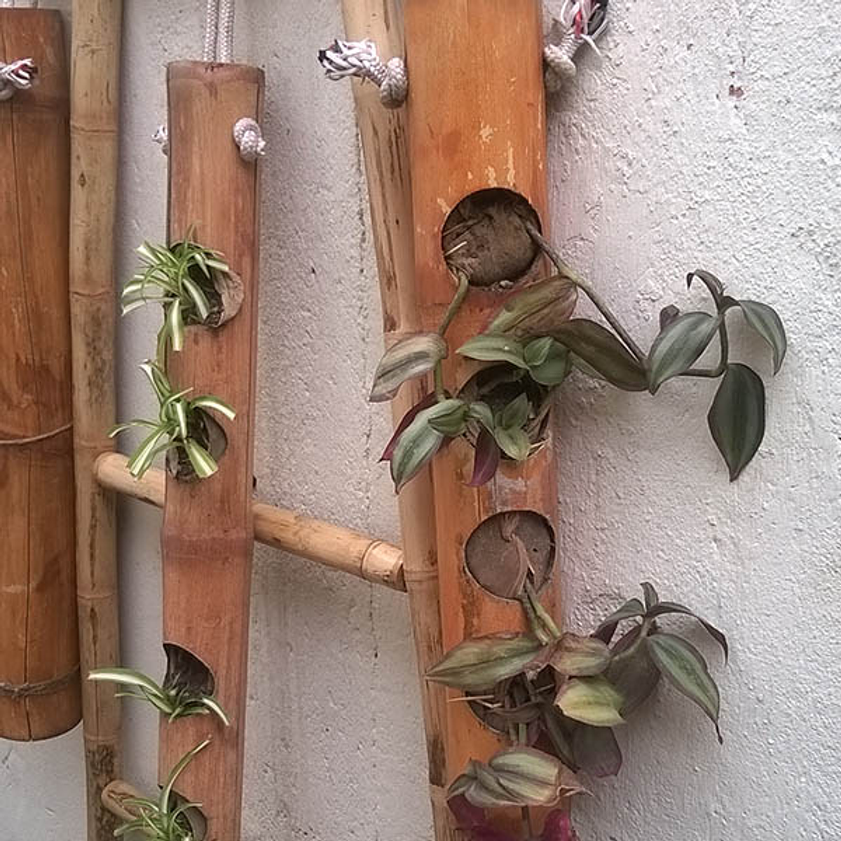 Jardinera Vertical Bambú | Dosel Bambú