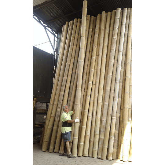 Bambú Asper Natural - Dimensionado - Image 2