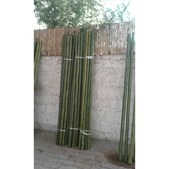 Bambú Moso Natural - Dimensionado - Image 3