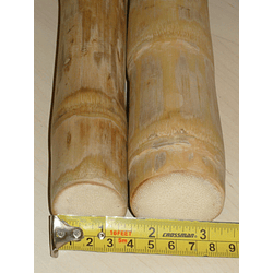 Bambú Colihue Seleccionado, limpio y pulido, 3 a 4 cm diámetro