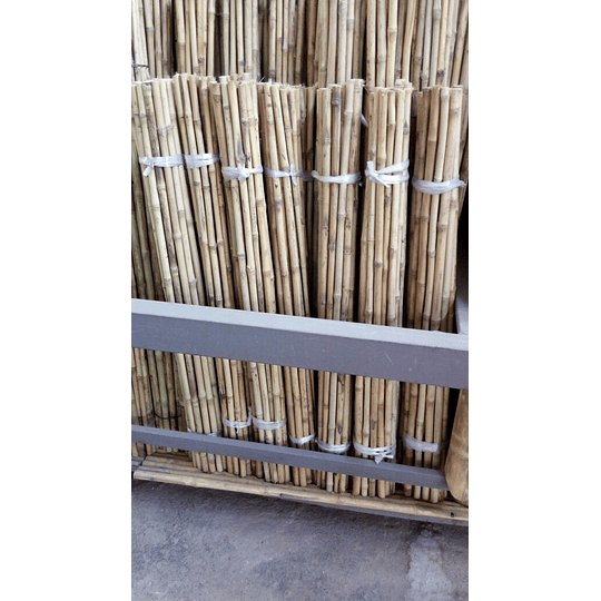Bambú Colihue Seleccionado y pulido, 2,0 a 3,0 cm diámetro - Image 5