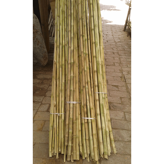 Bambú Colihue Limpio, Sin Seleccionar, diámetro aprox  3,0 a 4,0 cm. - Image 3
