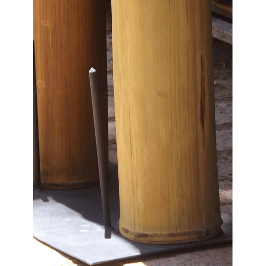 Bambú Asper dimensionado y preparado para decoración - Image 3