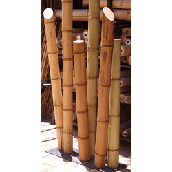 Bambú Guadua Trabajada para decoración, diámetro 8 a 10 cm. 