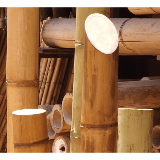Bambú Guadua Dimensionada y Preparado para decoración, 8 a 10 cm - Image 2