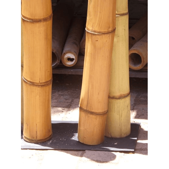 Bambú Guadua Trabajada para decoración, diámetro 8 a 10 cm. (AGOTADO) - Image 6