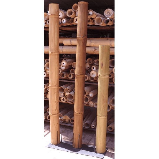 Bambú Guadua Dimensionada y Preparado para decoración, diámetro 8 a 10 cm - Image 8