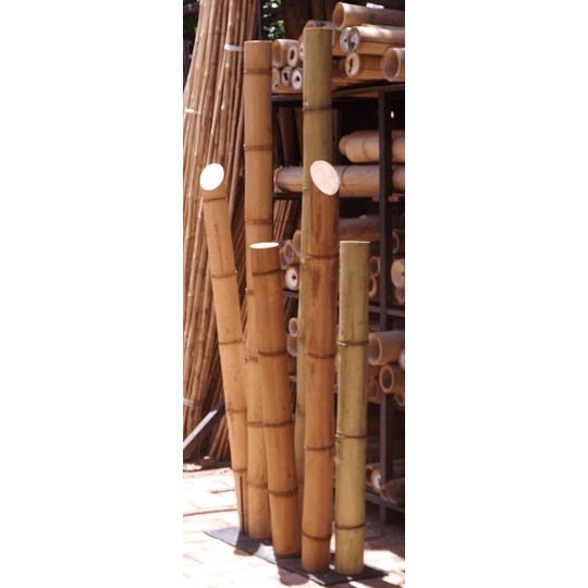 Bambú Guadua Dimensionada y Preparado para decoración, diámetro 8 a 10 cm - Image 3