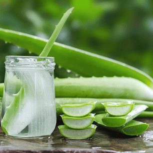 Agua Aloe Vera 500 ml 