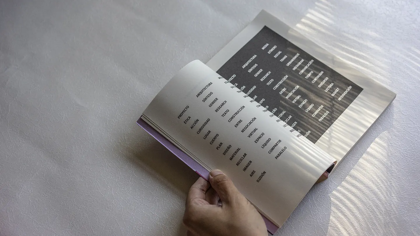 Mies y la gata niebla Ensayos sobre arquitectura y cosmopolítica 2
