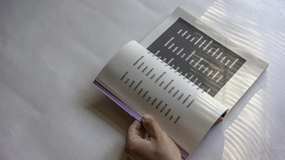 Mies y la gata niebla Ensayos sobre arquitectura y cosmopolítica 2