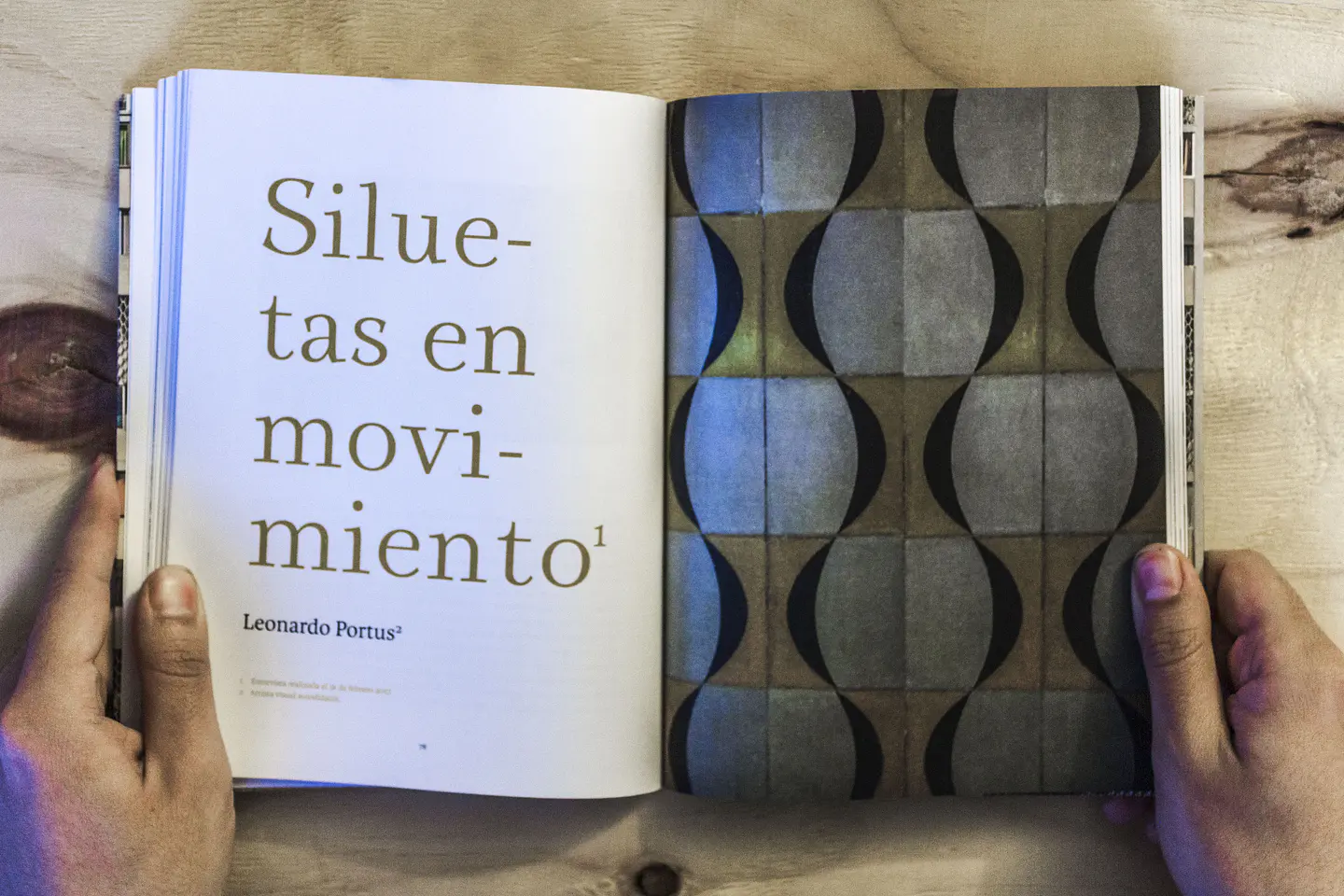 Tribunales. Sobre una Teoría Moderna 8