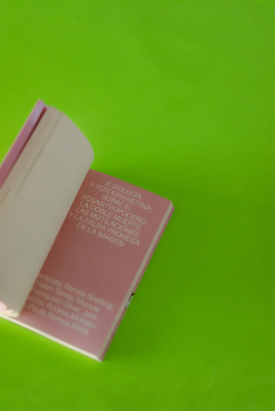 El giro fotogramétrico. Truncando el 3D 2