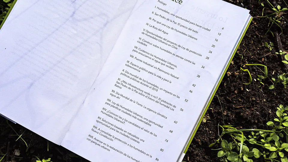 Humedales Urbanos. Cartas de la academia a la política pública 2