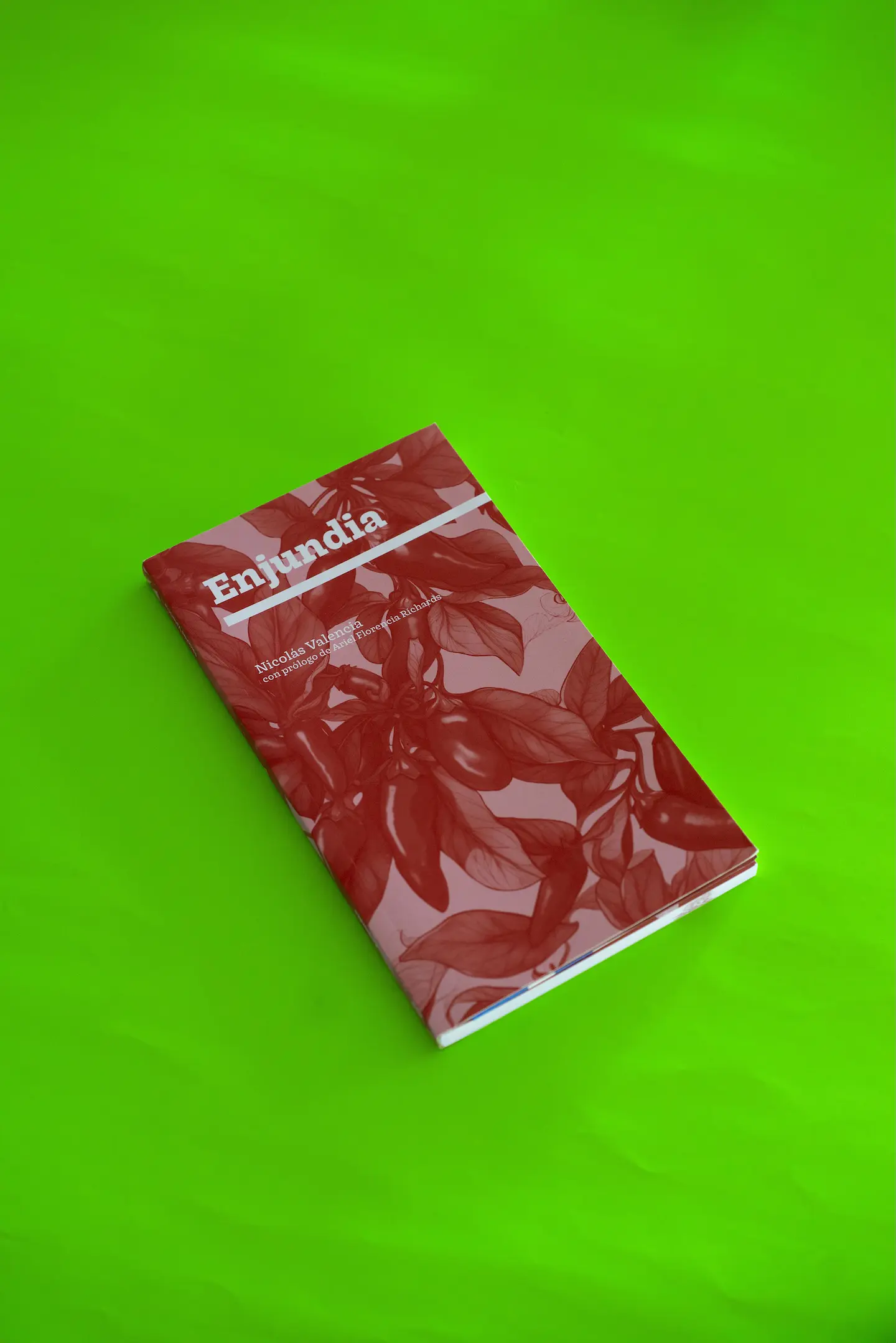 Enjundia 1