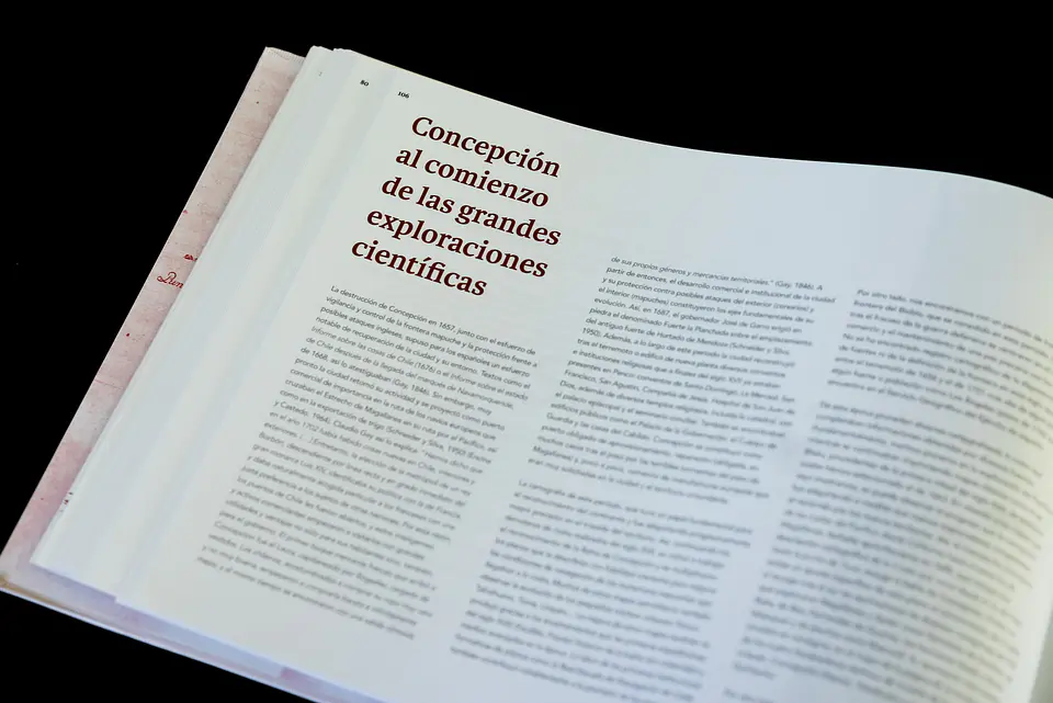 Concepción en cartas, mapas y planos 11
