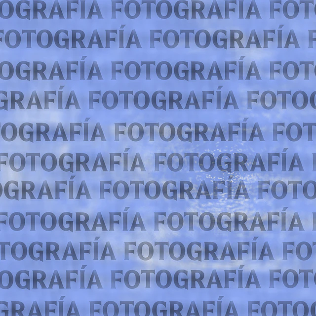 FOTOGRAFÍA