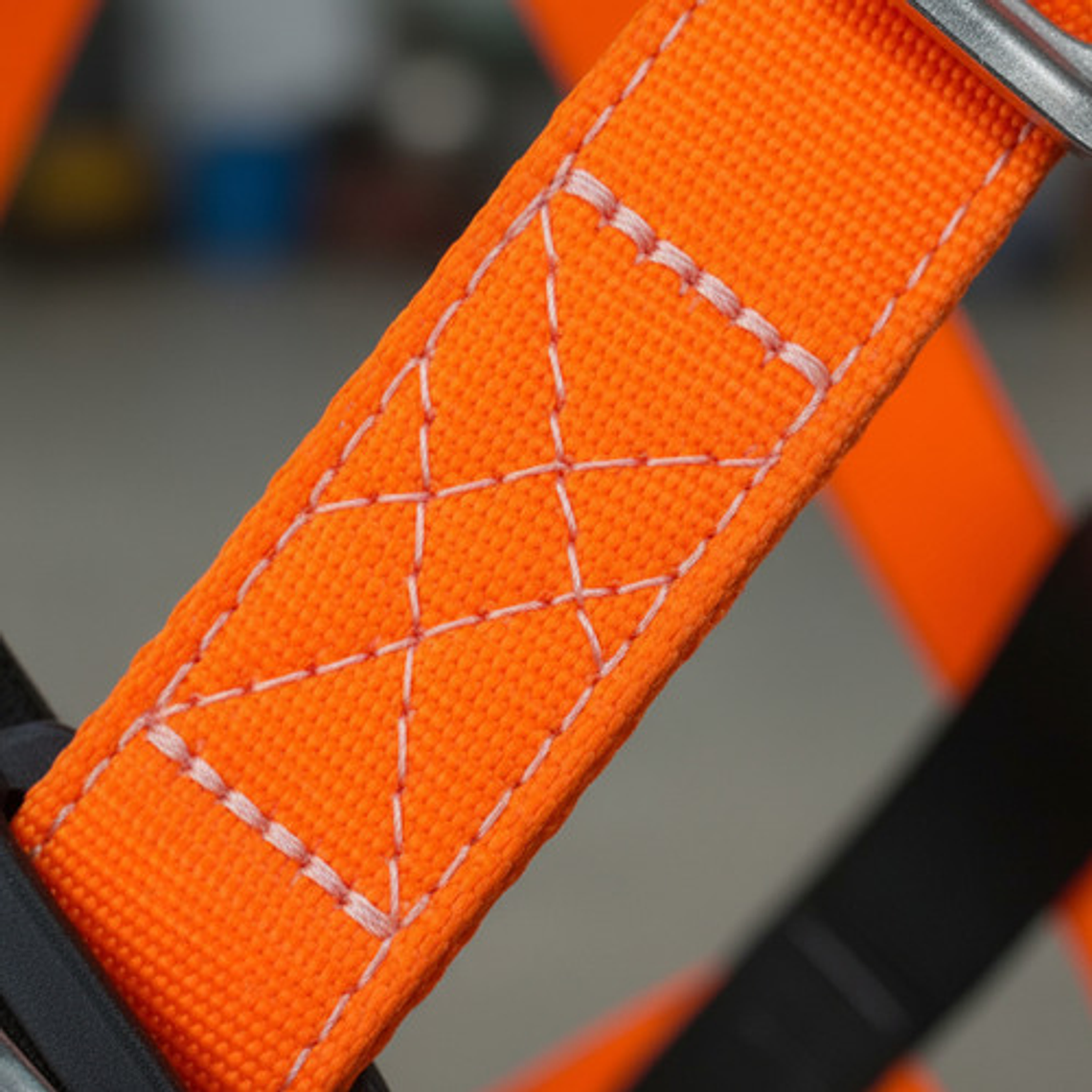 Arnés Insafe 4 Argollas In 8004  7