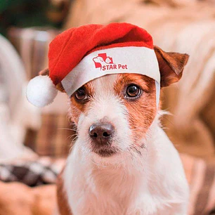 Gorro Natal Animais PIPO