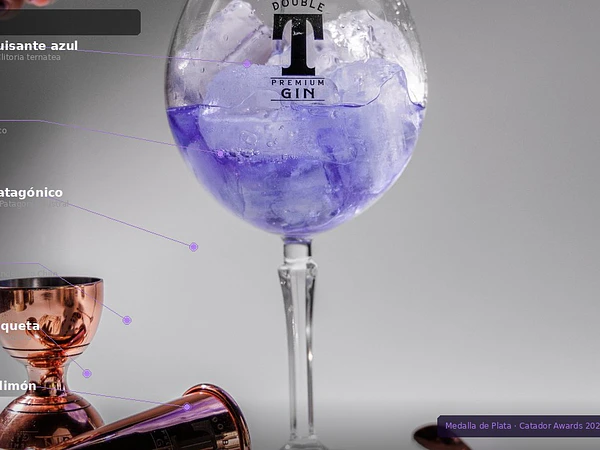 Los 11 Botánicos de Gin Double T | Guía de Perfiles Aromáticos