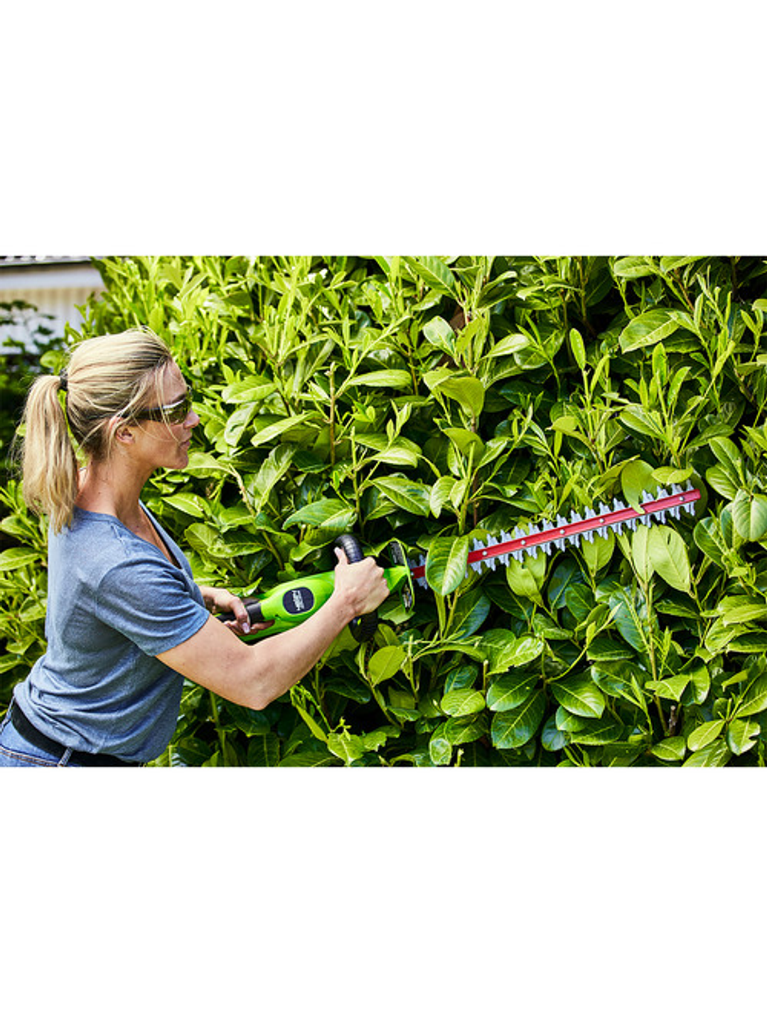 Cortasetos Inal. 22 Greenworks 24v - 2211102az - SOLO HERRAMIENTA 3