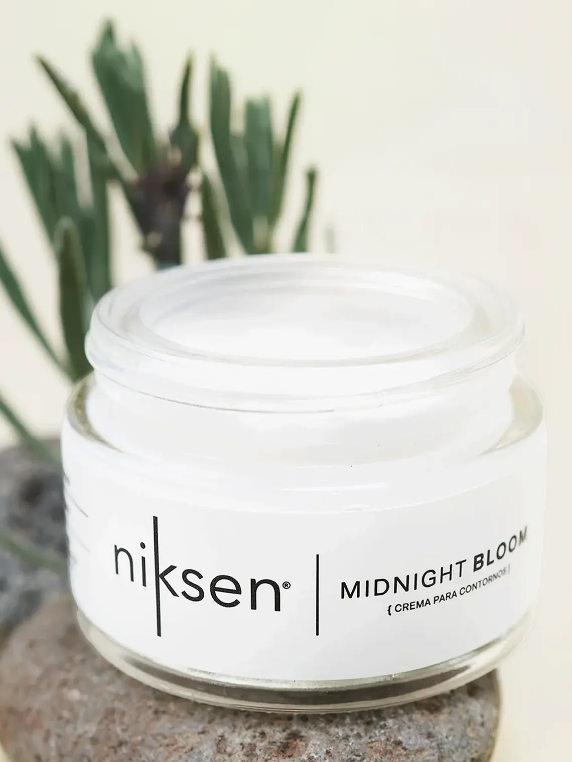 Midnight Bloom (Crema de contornos) 1
