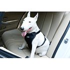 Arnés Pechera Con Cinturón De Seguridad Para Perros Talla L 2